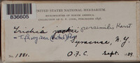 Image Associated With the Occurence